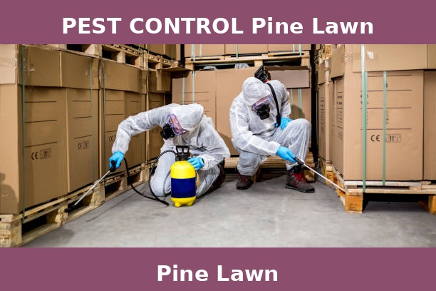 PEST CONTROL Pine Lawn